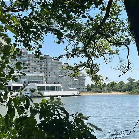 Piscine, Vue, Terrasse Apartman